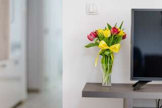 Апартаменты Apartment Old Town Summer Котор Апартаменты с 2 спальнями-8